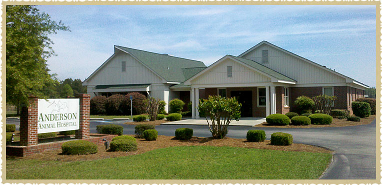 hartsville, sc animal hospital