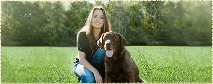 hartsville veterinary